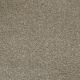 Whisper in Symmetry - Carpet by Lexmark Carpet