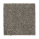 Calming Promise in Dorian - Carpet by Mohawk Flooring