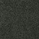 Roadside in Windsurf - Carpet by Shaw Flooring