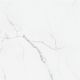Statuario in Statuario Glossy 12x24 - Tile by Happy Floors