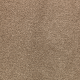 Striking Option in Montego - Carpet by Mohawk Flooring