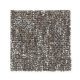 Memorabilia in Stepping Stone - Carpet by Mohawk Flooring