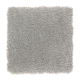 Delightful Cheer in Silverado - Carpet by Mohawk Flooring