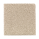 Natural Splendor II in Morning Mist - Carpet by Mohawk Flooring