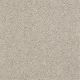 Dyersburg Classic 12' in Cashmere - Carpet by Shaw Flooring