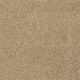 Stargazer in Brocade - Carpet by Shaw Flooring