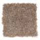 Lifetime Achievement in Driftwood - Carpet by Mohawk Flooring