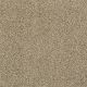St. Moritz II in Arizona - Carpet by Shaw Flooring