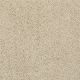 St. Moritz II in Cornsilk - Carpet by Shaw Flooring