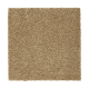 Calming Promise in Tortoise Comb - Carpet by Mohawk Flooring