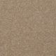 Different Times I 15 in Muffin - Carpet by Shaw Flooring
