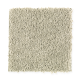 Famous Fair in Limewashed - Carpet by Mohawk Flooring