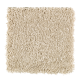 Rare Details in Frosted Reflections - Carpet by Mohawk Flooring