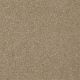 Highland Cove II 15 in Sea Grass - Carpet by Shaw Flooring