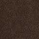 Poetic in Java Bean - Carpet by Shaw Flooring
