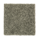 Smart Color in Cucumber - Carpet by Mohawk Flooring