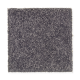 True Elegance II in Flannel Gray - Carpet by Mohawk Flooring
