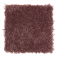 Wise Choice in Baked Apple - Carpet by Mohawk Flooring