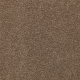 Striking Option in Timberlane - Carpet by Mohawk Flooring