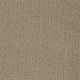 Truly Relaxed Loop in Saffron - Carpet by Shaw Flooring