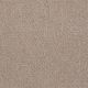 Mack in Balsis Wood - Carpet by Shaw Flooring