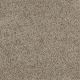 You Know It in Stunning - Carpet by Shaw Flooring