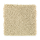 Brookfield Heights in Gardenia - Carpet by Mohawk Flooring
