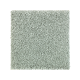 Nature's Appeal I in Seascape - Carpet by Mohawk Flooring
