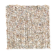 Andantino in Aspen Bark - Carpet by Mohawk Flooring