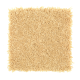 Stylish Silhouette in Pineapple - Carpet by Mohawk Flooring