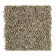 Sassy Arrangement in Clover - Carpet by Mohawk Flooring