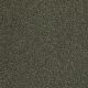 Hillshire in Hilltop - Carpet by Shaw Flooring
