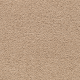 Truly Tasteful in Cracked Wheat - Carpet by Mohawk Flooring