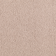 Simply Soft II in Crisp Khaki - Carpet by Mohawk Flooring