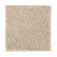 Nature's Appeal II in Morning Mist - Carpet by Mohawk Flooring