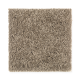 Stylish Silhouette in Dry Twig - Carpet by Mohawk Flooring