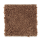 Living Legacy in Copper Penny - Carpet by Mohawk Flooring