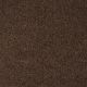 Luxury At Best in Bison - Carpet by Shaw Flooring