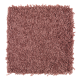 Smart Color in Candy Kisses - Carpet by Mohawk Flooring