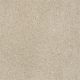 Design Texture Gold in Tranquility - Carpet by Shaw Flooring