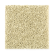 Smart Color in Limeade - Carpet by Mohawk Flooring