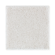 Opulent Appeal in Heirloom - Carpet by Mohawk Flooring