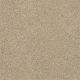 Silver Texture in Chenille Soft - Carpet by Shaw Flooring