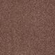 Corner Cafe 15' in English Toffee - Carpet by Shaw Flooring