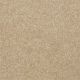Our Delight I 15' in Silk - Carpet by Shaw Flooring