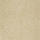 Luxury At Best in Santa Cruz - Carpet by Shaw Flooring