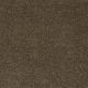 Murphy in Derby Brown - Carpet by Shaw Flooring