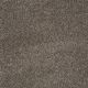 You Know It in Rustic Taupe - Carpet by Shaw Flooring
