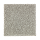 Nature's Appeal II in Smokescreen - Carpet by Mohawk Flooring