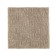 Natural Treasure in Urban Taupe - Carpet by Mohawk Flooring